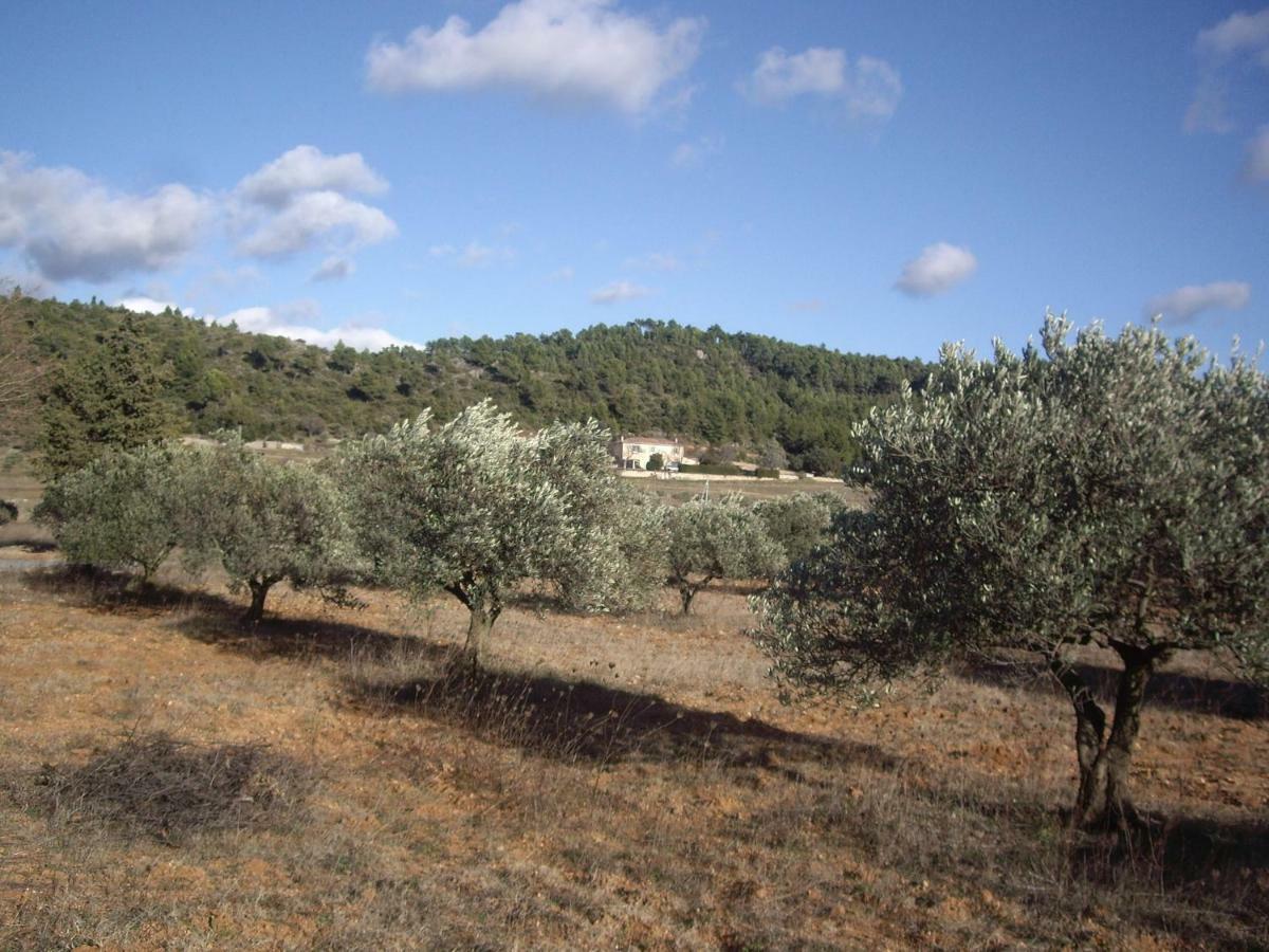 L' Oliveraie De Plérimond Aups Buitenkant foto