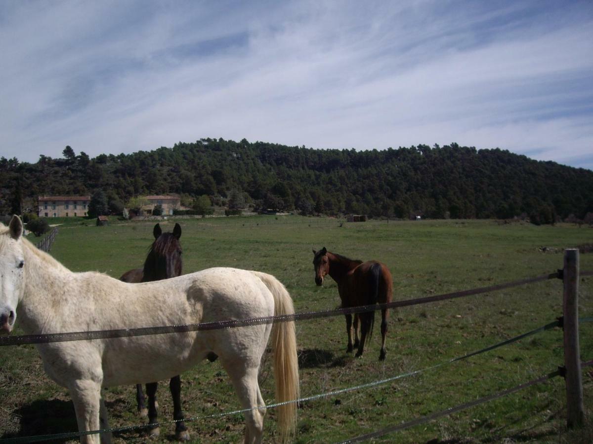 L' Oliveraie De Plérimond Aups Buitenkant foto