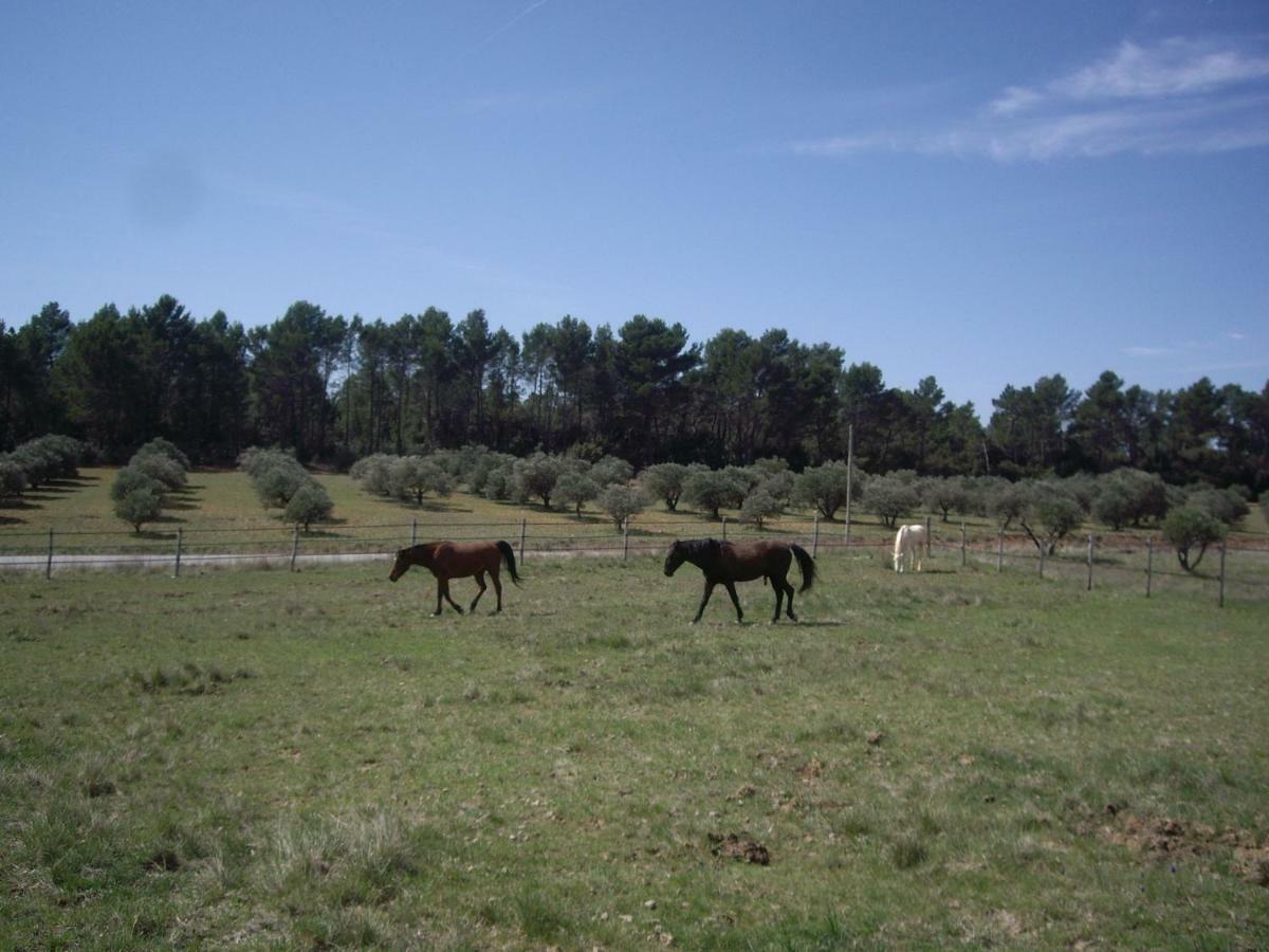 L' Oliveraie De Plérimond Aups Buitenkant foto