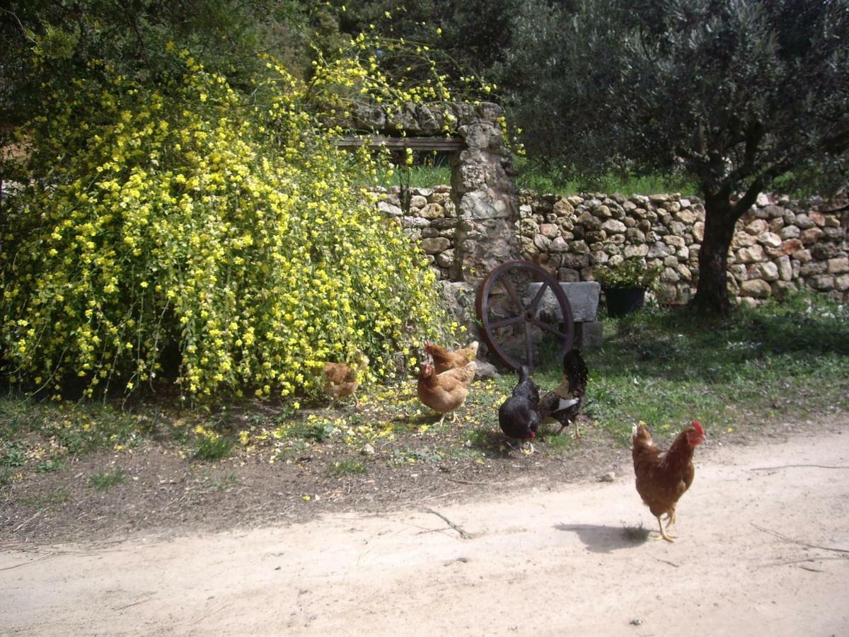 L' Oliveraie De Plérimond Aups Buitenkant foto